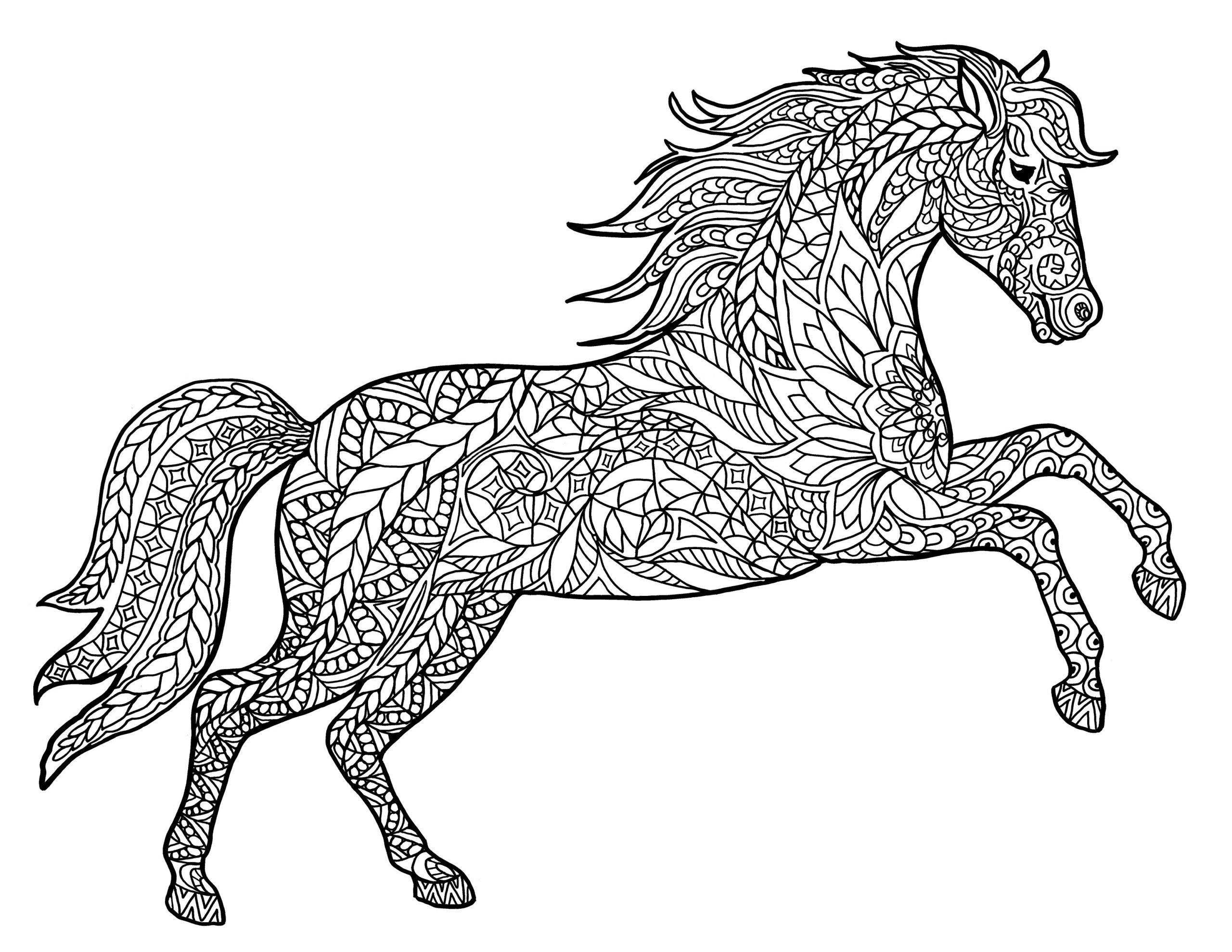 Animals Printable Coloring Pages
 Adult Coloring Pages Animals Best Coloring Pages For Kids