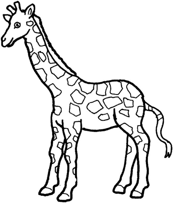 Animals Printable Coloring Pages
 Zoo Animal Coloring Pages Bestofcoloring