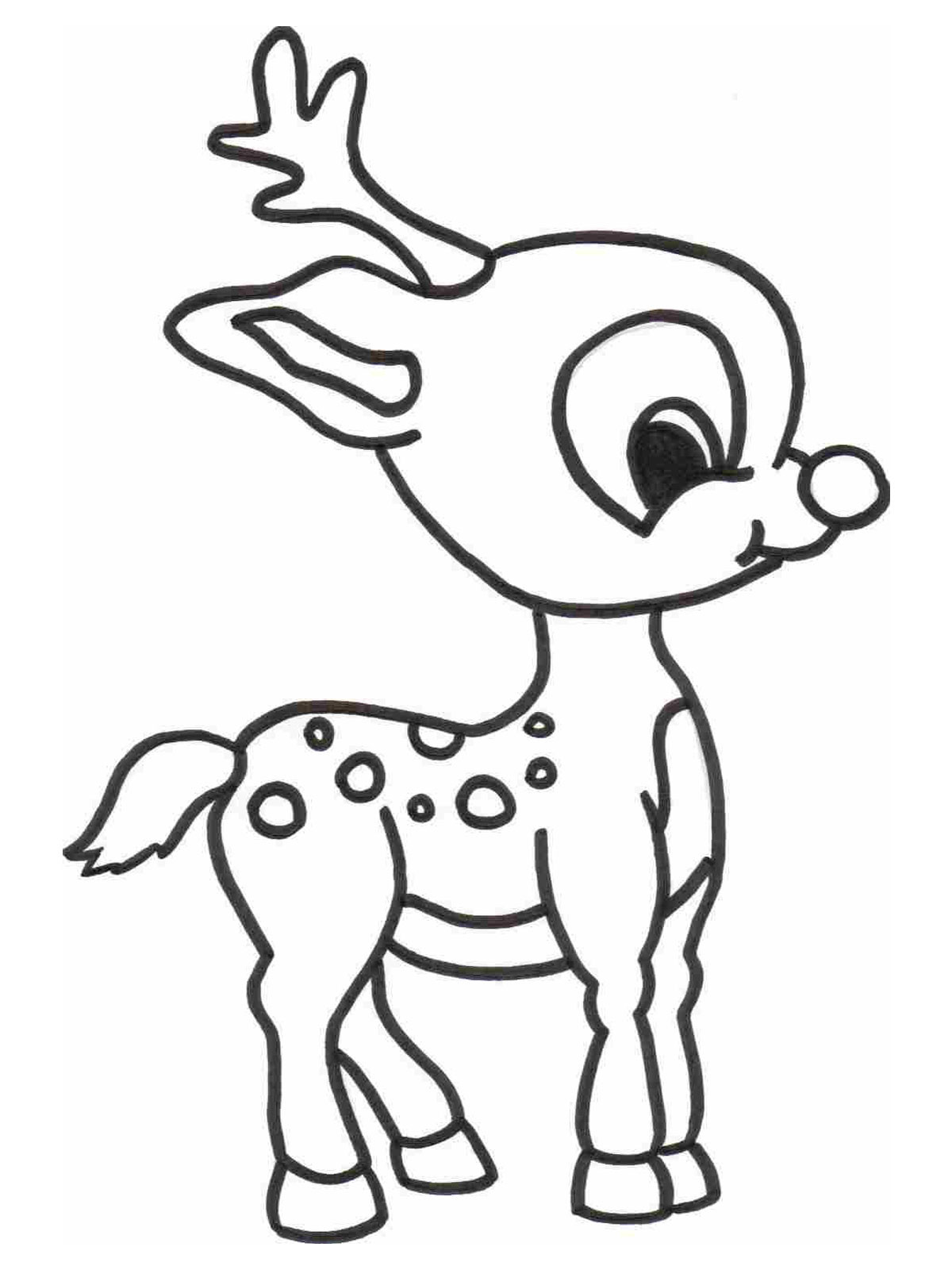 Animals Printable Coloring Pages
 free printable coloring pages animals 2015