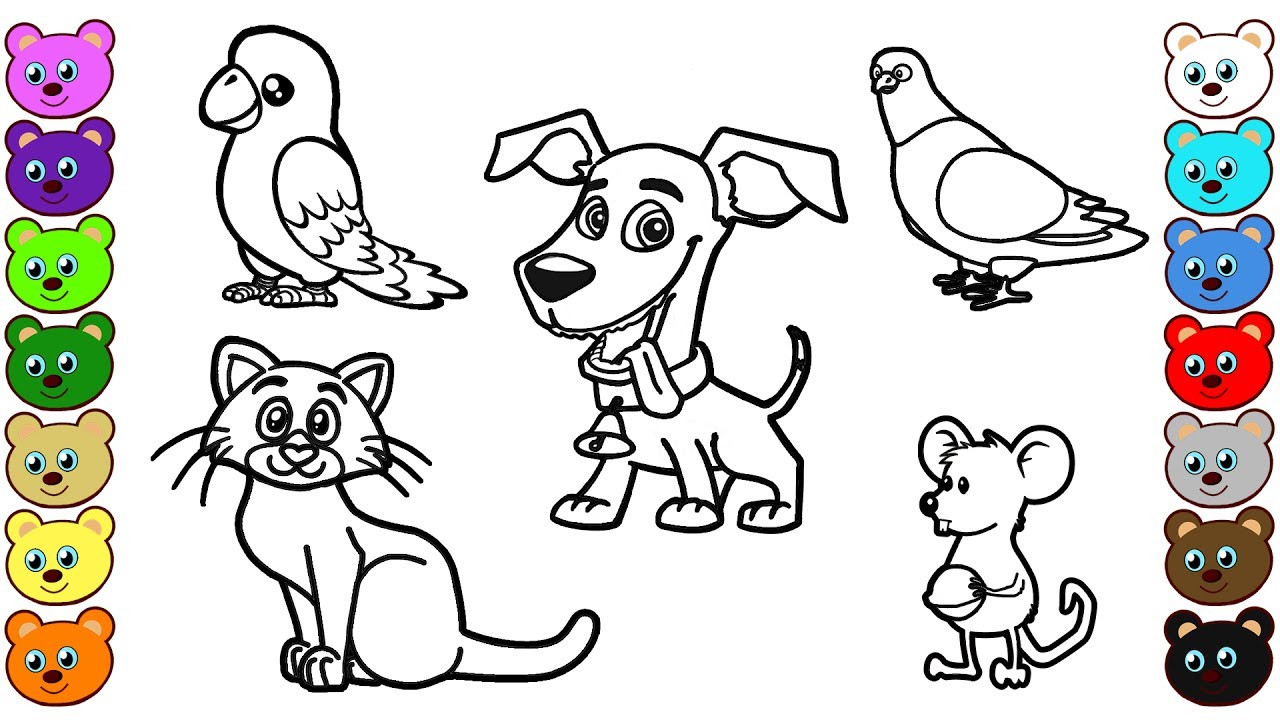 Animals Printable Coloring Pages
 Learn Colors for Kids with Home Animals Coloring Pages