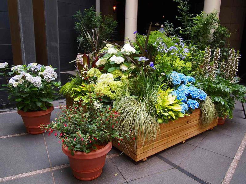Backyard Planter Ideas
 21 Beautiful Flowerbox Design Ideas Page 4 of 4