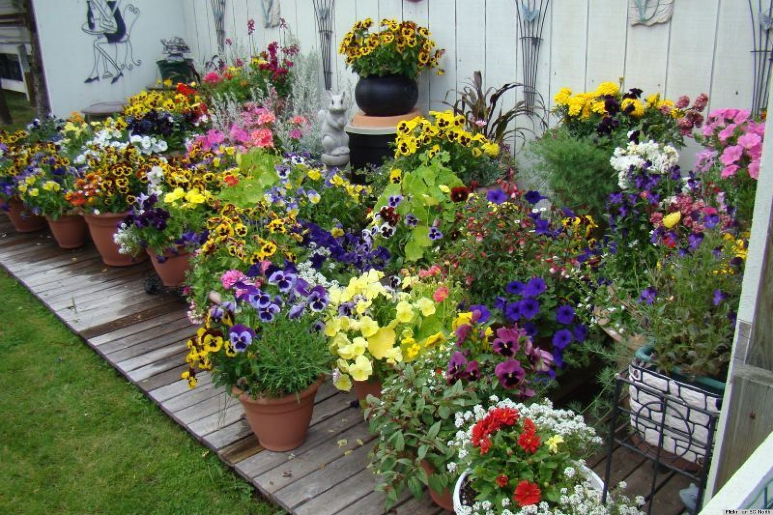 Backyard Planter Ideas
 10 Pretty Container Gardens That Are Perfect For Any Home