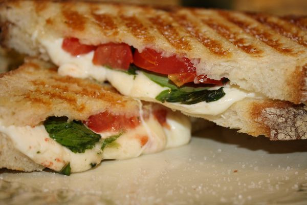 Best Panini Sandwich Recipe
 Panino Sandwiches Panini Recipes