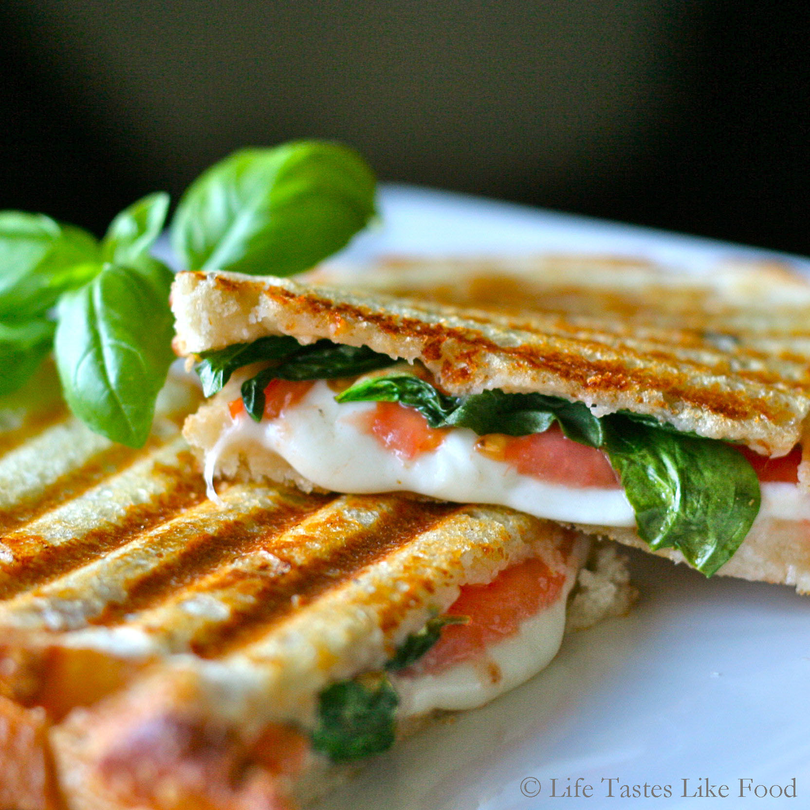 Best Panini Sandwich Recipe
 Easy Healthy Recipe Italian Panini