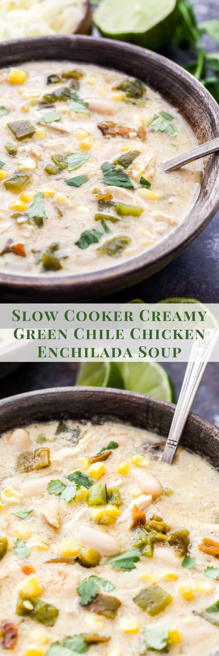Chicken Chili Soup
 Slow Cooker Creamy Green Chile Chicken Enchilada Soup