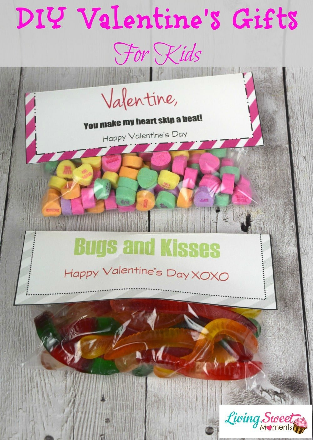 Children Valentine Gift Ideas
 DIY Valentine s Gift For Kids