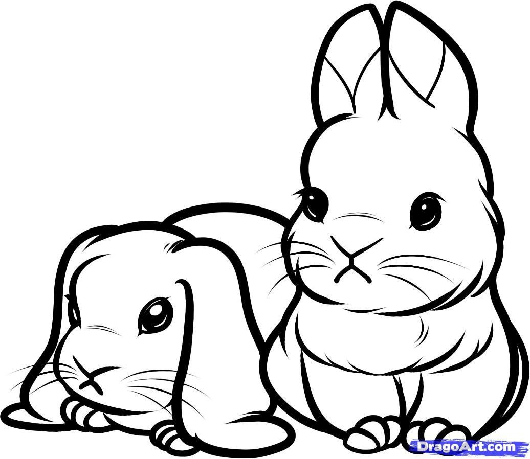 Coloring Pages Of Baby Bunnies
 Printable Coloring Pages Baby Bunnies