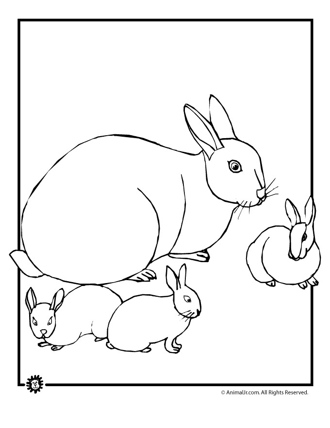 Coloring Pages Of Baby Bunnies
 Baby Bunny Coloring Pages Woo Jr Kids Activities