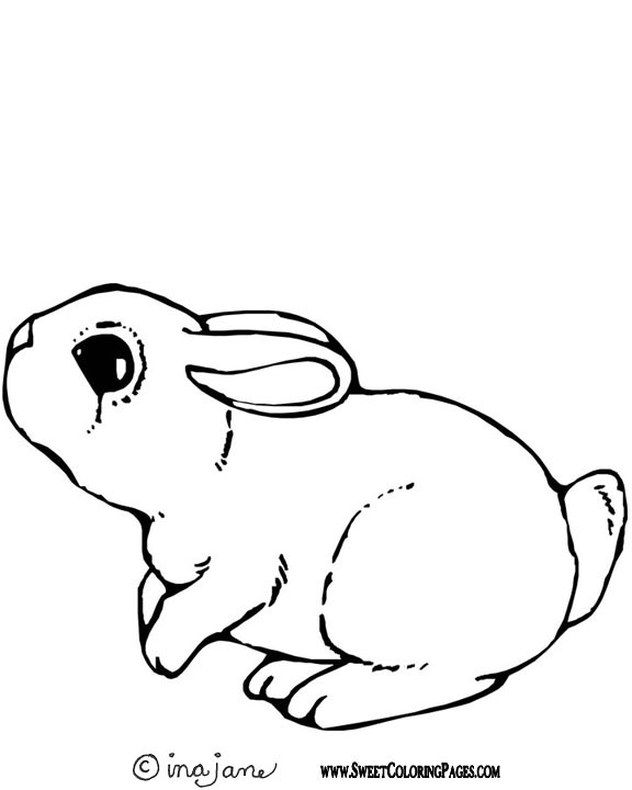 Coloring Pages Of Baby Bunnies
 Show Me More Bunny Pic Colouring Pages Cute