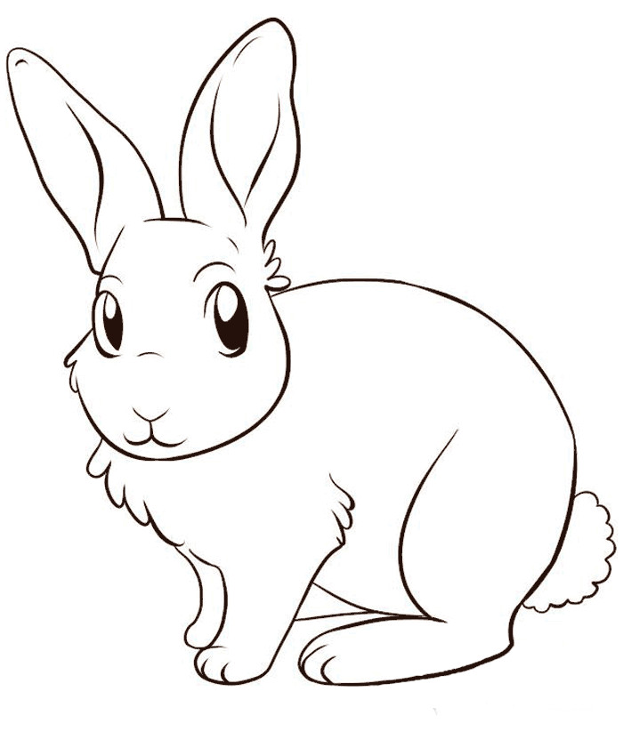 Coloring Pages Of Baby Bunnies
 Riscos graciosos Cute Drawings Riscos de coelhos