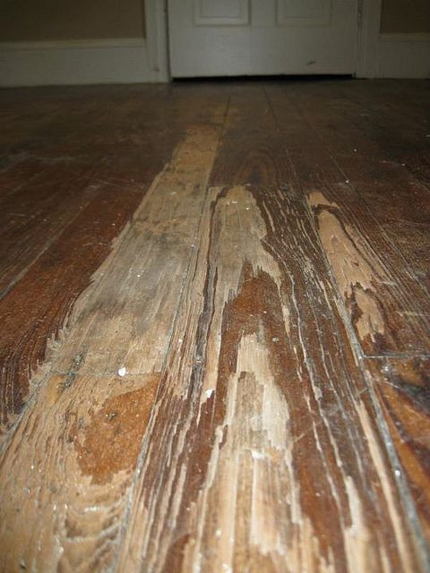 DIY Restore Hardwood Floors
 How to refinish a hardwood floor the plete manifesto