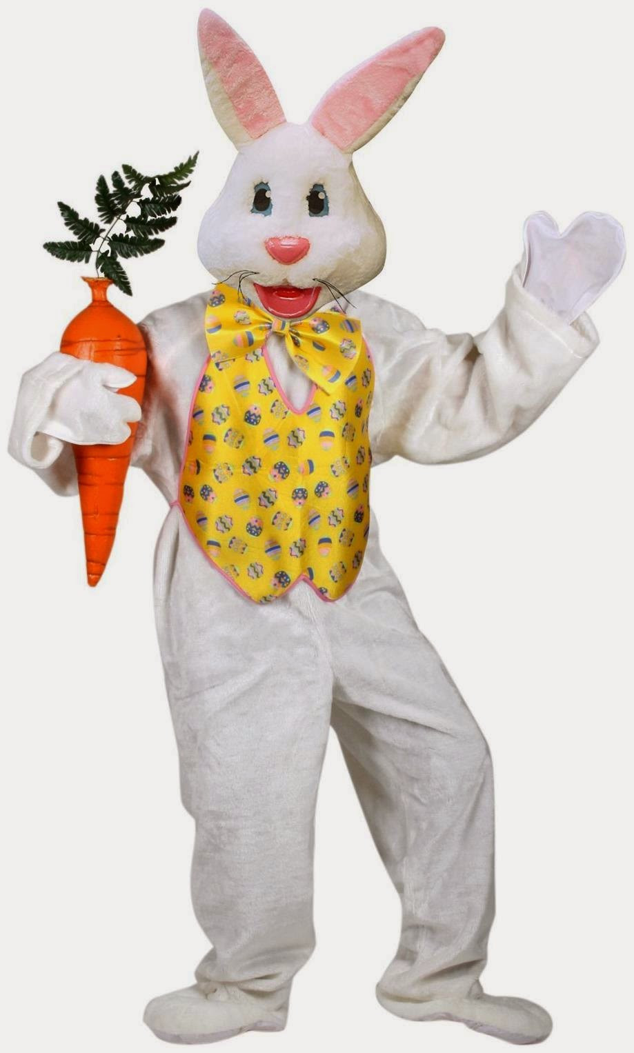 Easter Costume Ideas
 Best Easter Costumes and Ideas