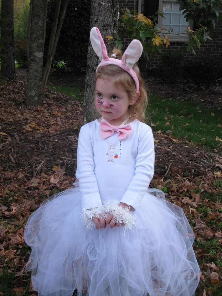 Easter Costume Ideas
 Bunny Costume idea girl