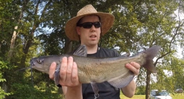 Fishing With Hot Dogs
 Create Your Own Catfish Bait with Hot Dogs and Jello