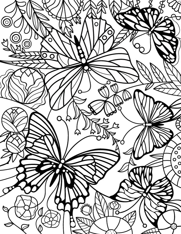 Free Printable Butterfly Coloring Pages Adults
 Butterfly Coloring Pages for Adults