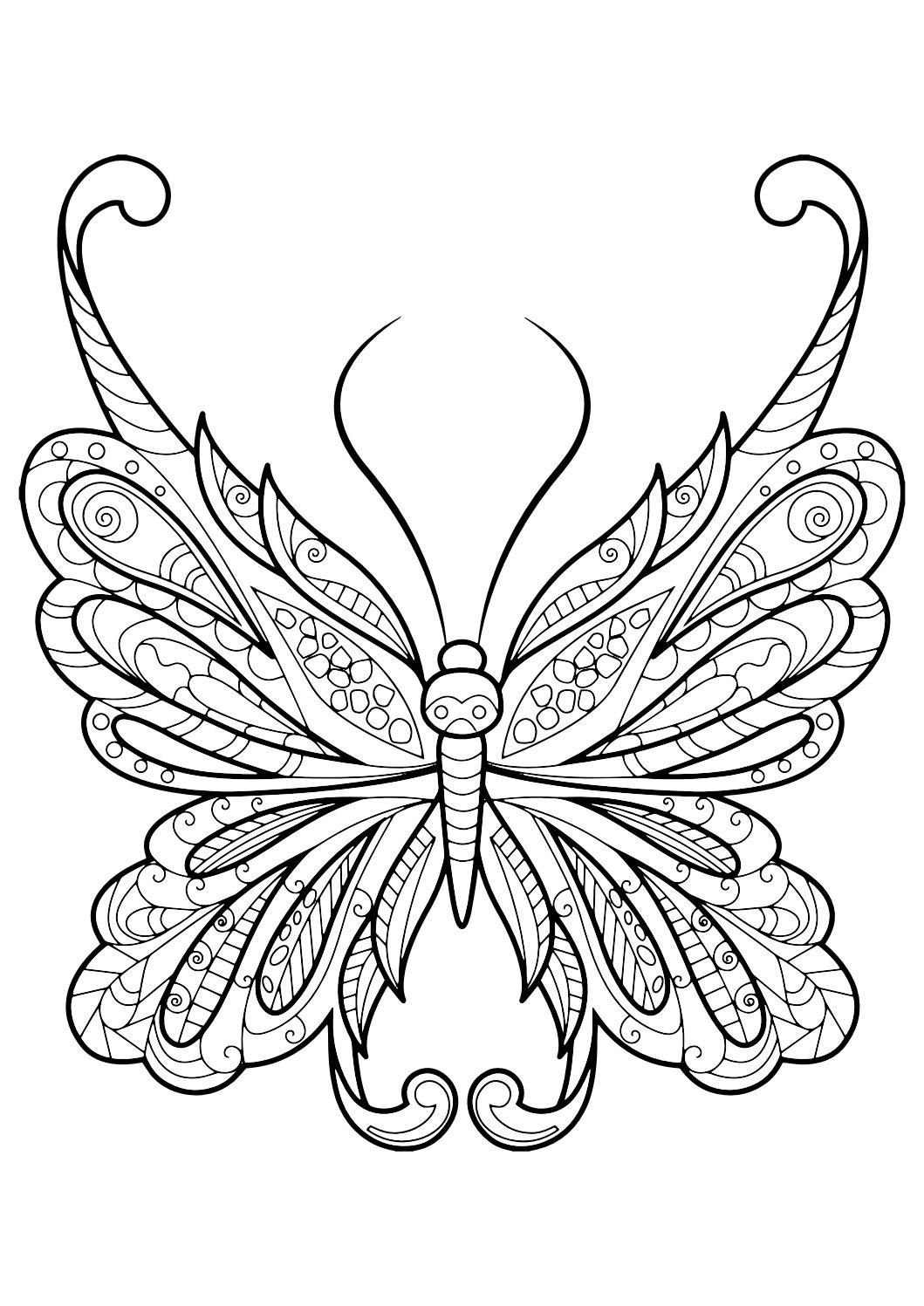 Free Printable Butterfly Coloring Pages Adults
 Adult Butterfly Coloring Book