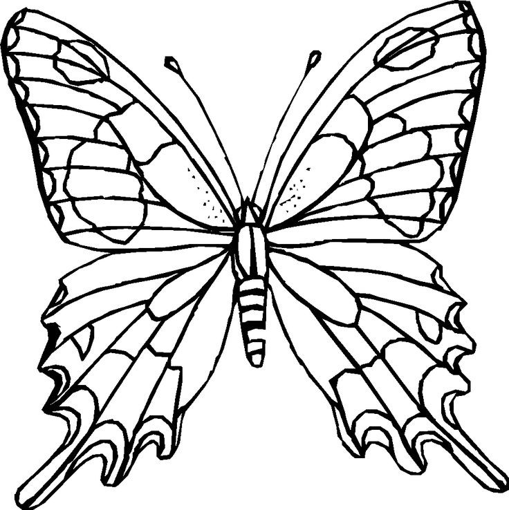 Free Printable Butterfly Coloring Pages Adults
 Difficult Coloring Pages For Adults