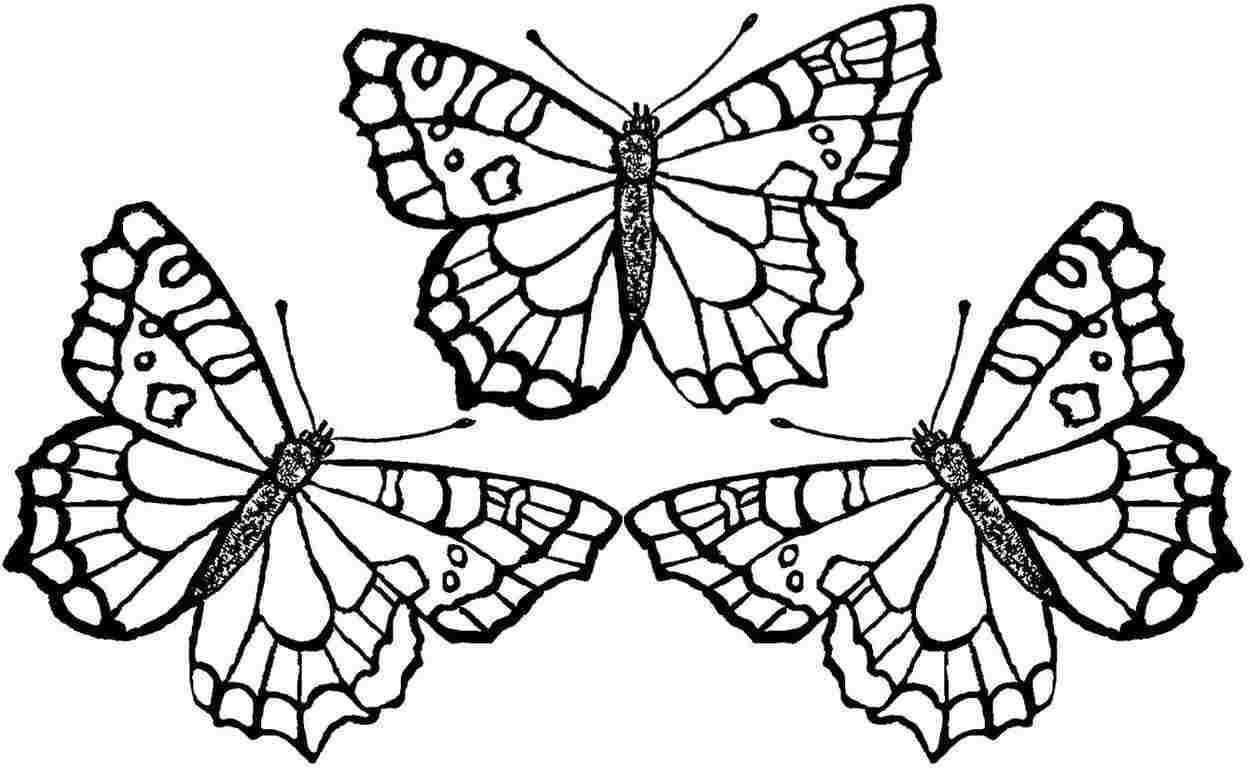 Free Printable Butterfly Coloring Pages Adults
 Free Printable Adult Coloring Pages Butterflies