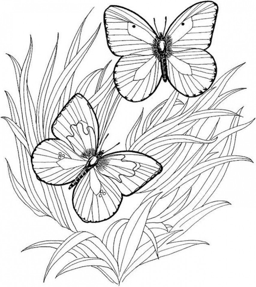 Free Printable Butterfly Coloring Pages Adults
 Get This Adult Butterfly Coloring Pages to Print at46f
