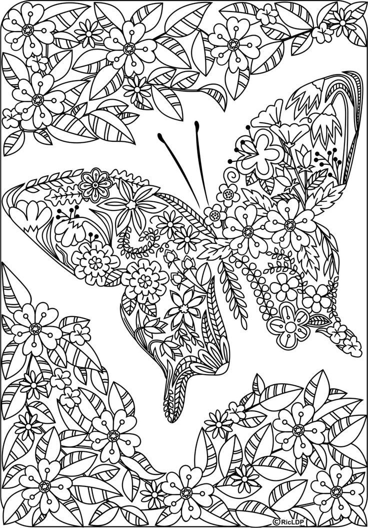Free Printable Butterfly Coloring Pages Adults
 75 best images about butterfly coloring pages on Pinterest