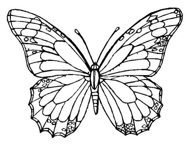 Free Printable Butterfly Coloring Pages Adults
 Coloring Pages for Adults PDF Free Download