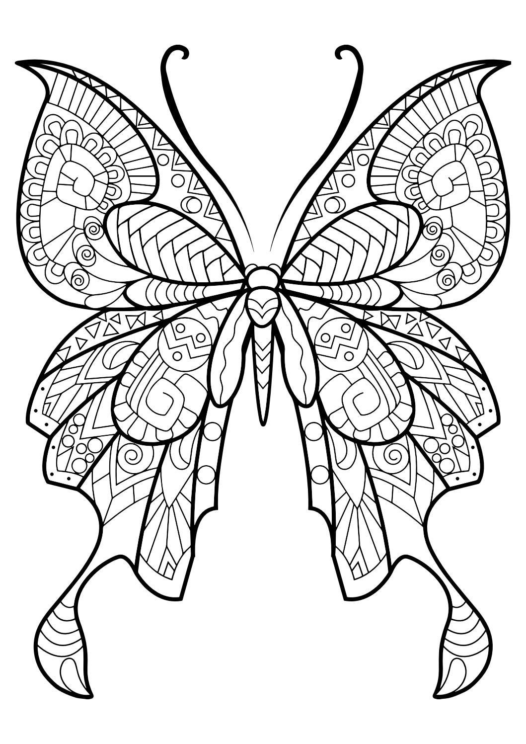 Free Printable Butterfly Coloring Pages Adults
 Adult Butterfly Coloring Book Coloring