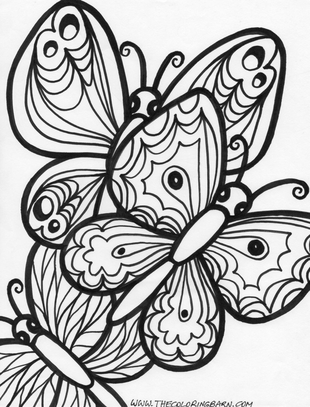 Free Printable Butterfly Coloring Pages Adults
 Butterfly Coloring Pages Bestofcoloring