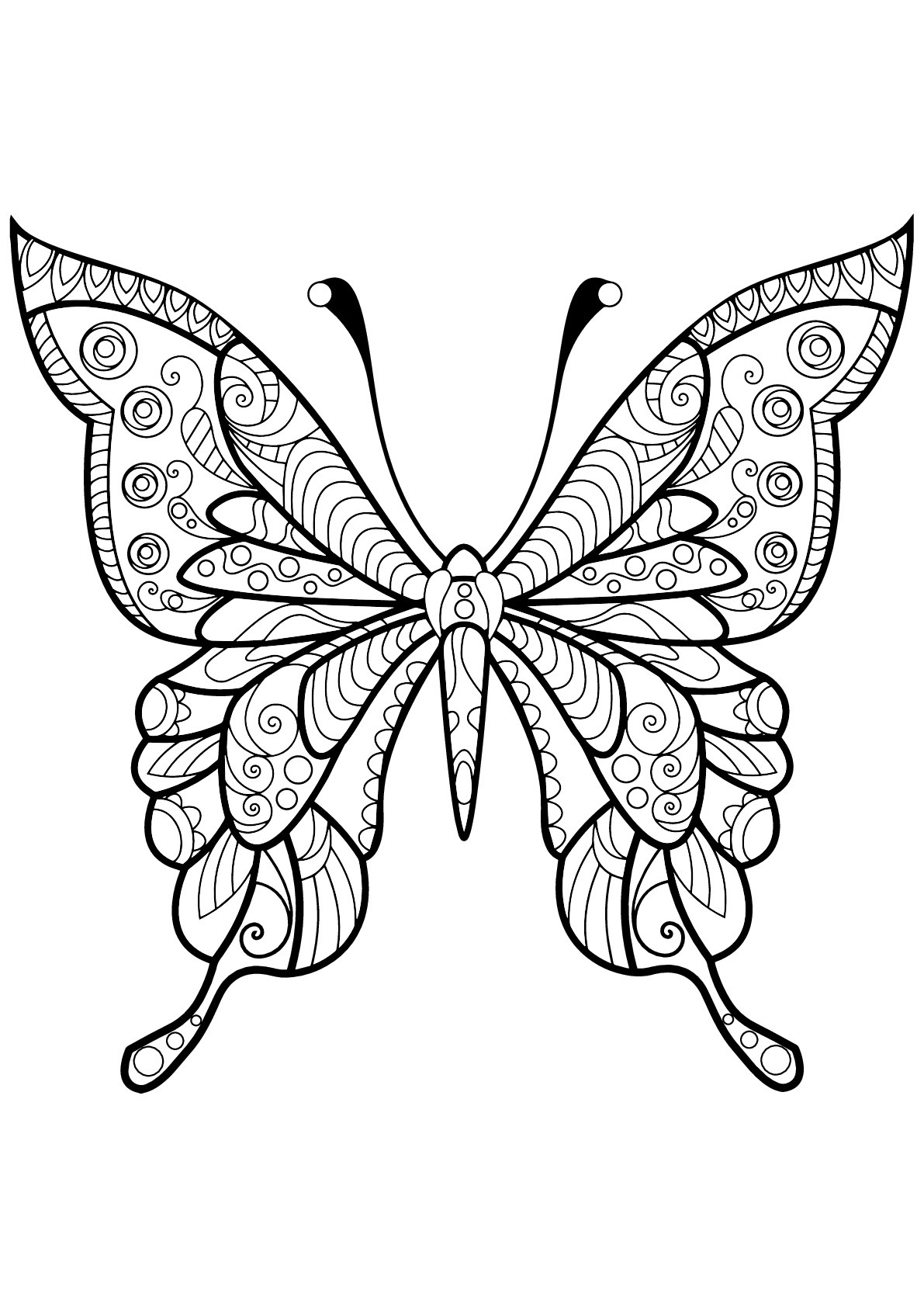 Free Printable Butterfly Coloring Pages Adults
 Butterfly Coloring Pages for Adults Best Coloring Pages