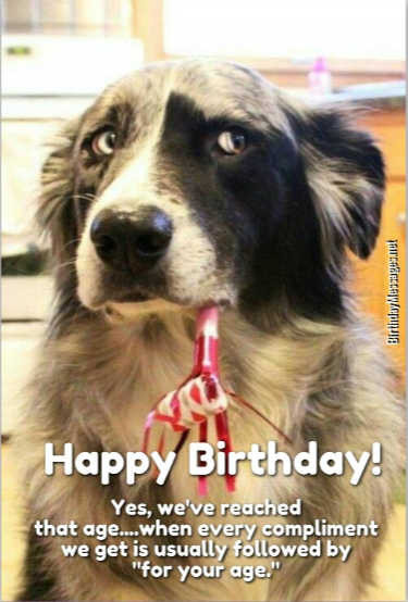 The 21 Best Ideas for Funny Happy Birthday Greeting – Home, Family ...