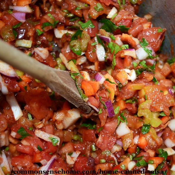 Good Salsa Recipe
 Home Canned Salsa Recipe Plus 10 Tips for Safe Salsa Canning