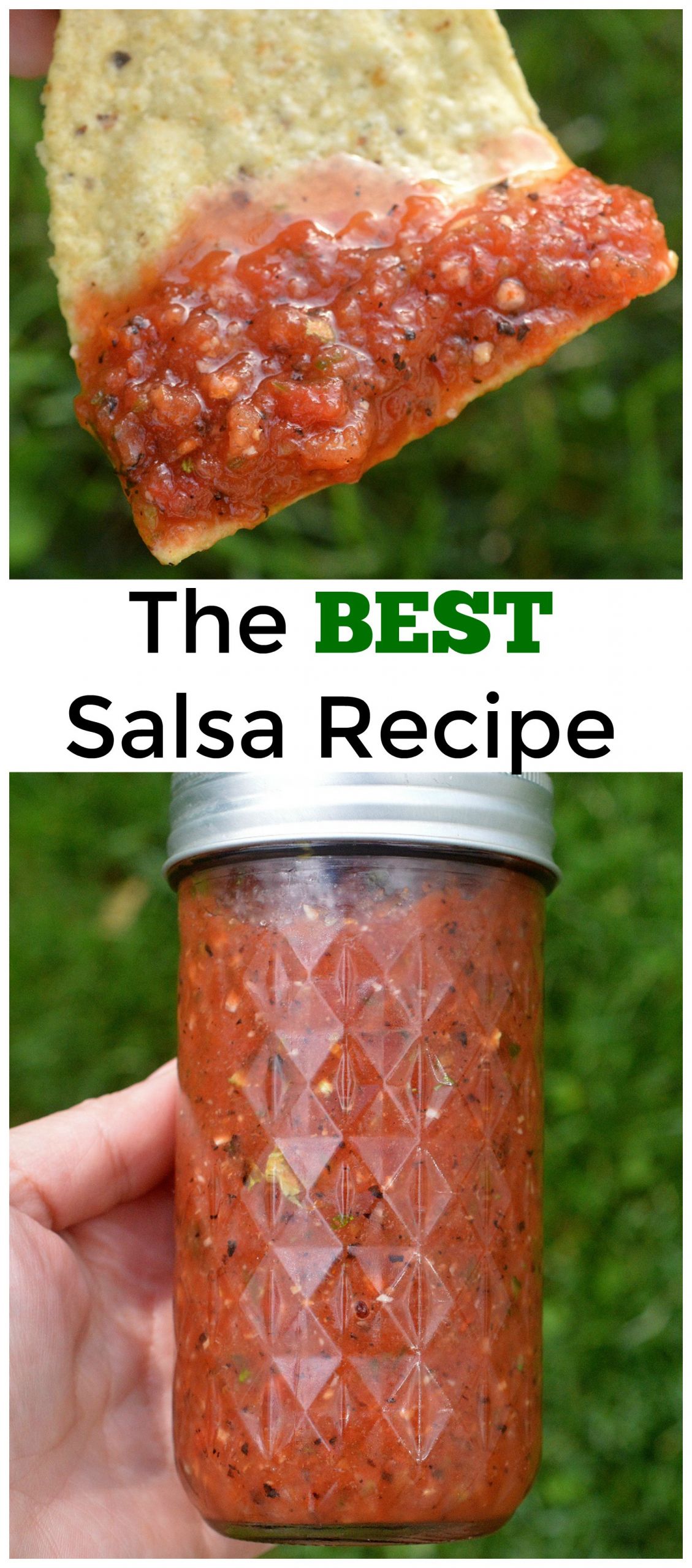 Good Salsa Recipe
 The BEST and Easiest Salsa Recipe