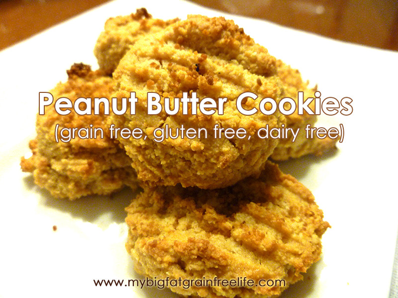 Grain Free Peanut Butter Cookies
 Peanut Butter Cookies SCD GAPS grain free dairy free
