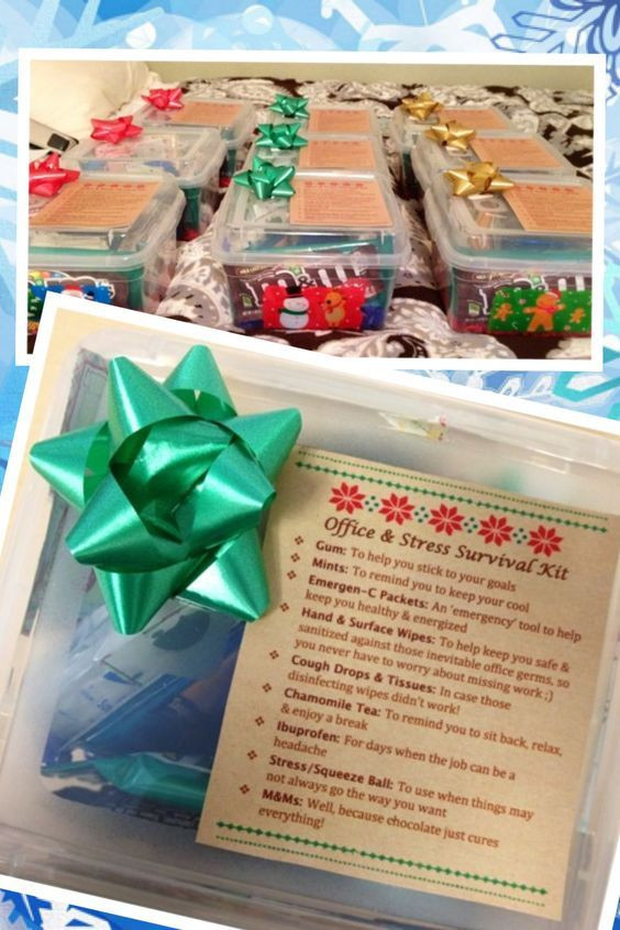 Holiday Gift Ideas For Office Staff
 The " fice & Stress Survival Kits" I made for my