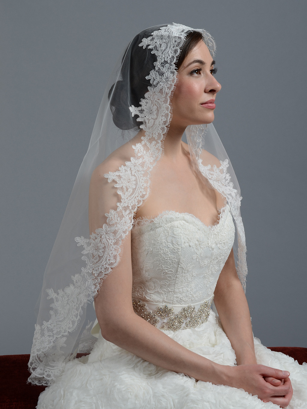 Ivory Veils Wedding
 Ivory wedding veil alencon lace V045
