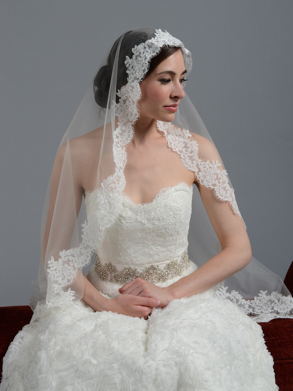Ivory Veils Wedding
 Ivory wedding veil alencon lace V044