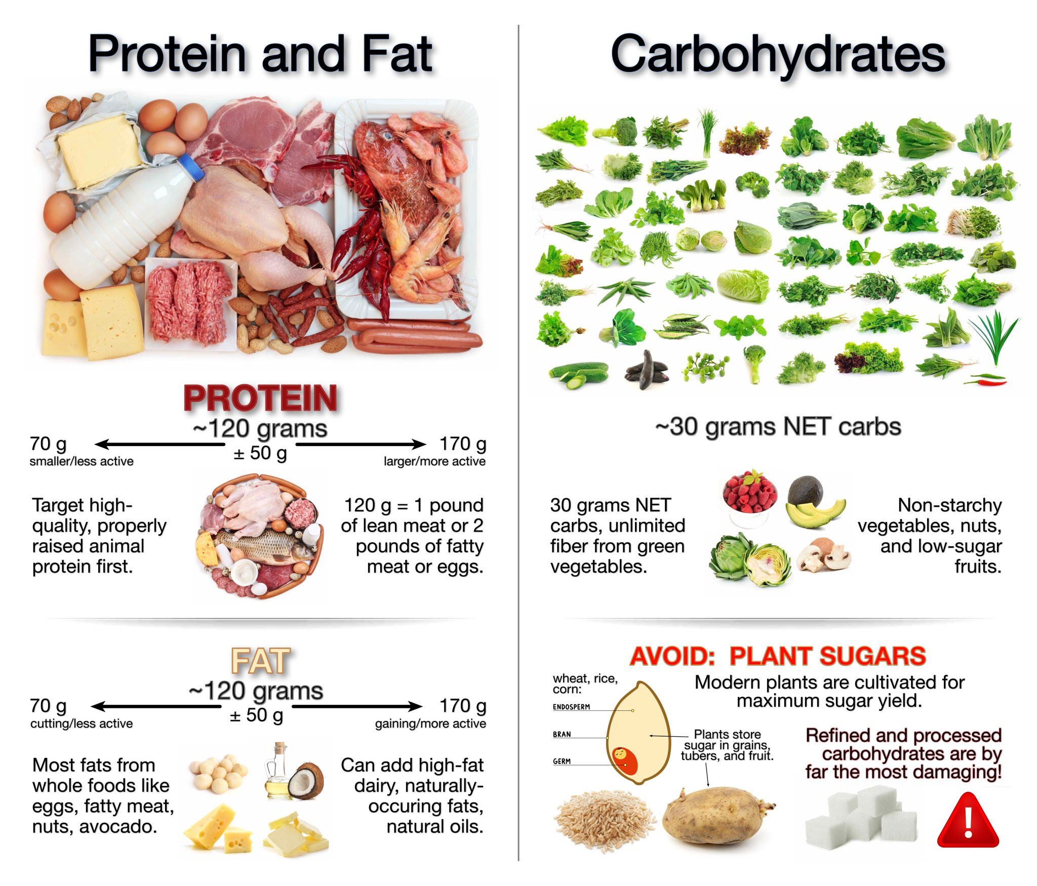 Keto Diet Protein
 Do you think keto is healthy — MyFitnessPal