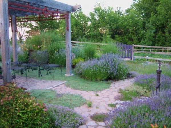 Landscape Design Ideas For Backyard
 Lavender garden wins Backyard Garden Spaces contest
