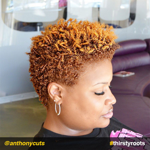 Natural Coil Hairstyles
 12 Stunning Haircuts for Black Women Thirsty Roots Black