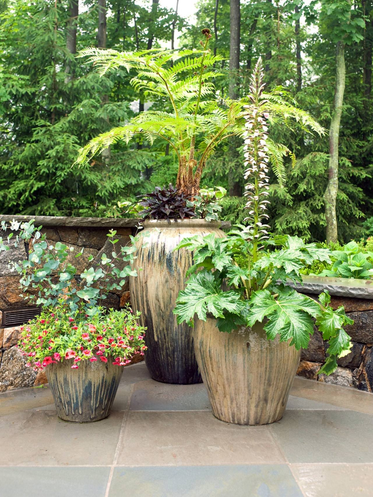Outdoor Landscape Flowers
 11 Most Essential Container Garden Design Tips