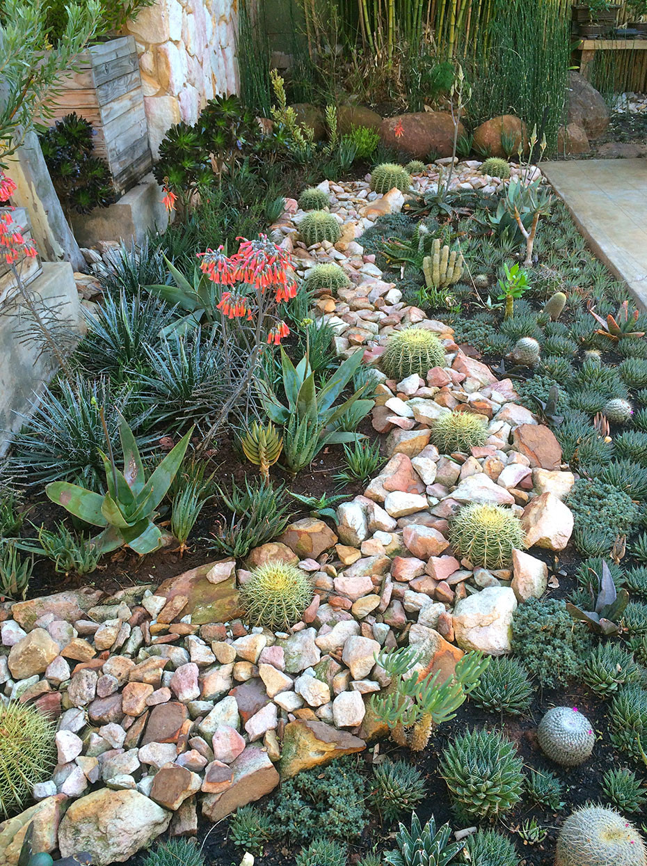 Outdoor Landscape Flowers
 15 Delightful Succulent Gardens That Will Inspire You