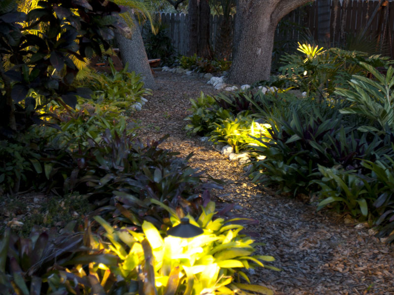 Outdoor Landscape Flowers
 Lighting Outdoor Landscapes with Landscape Lighting for