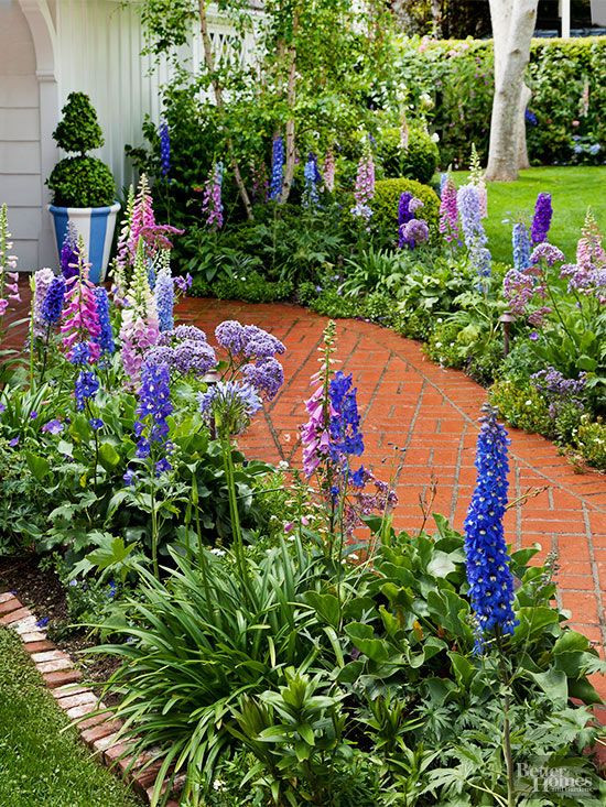 Outdoor Landscape Flowers
 Summer Backyard Cottage With Delphinium – Start A Easy