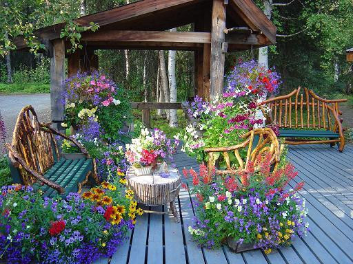 Outdoor Landscape Flowers
 Extreme Gardening in Alaska