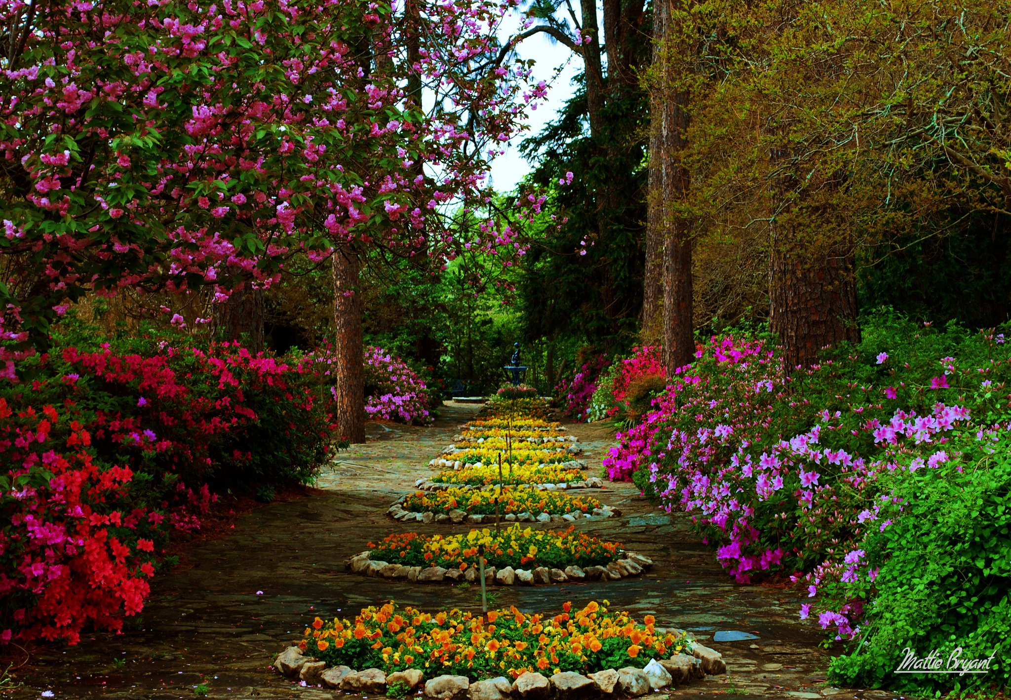 Outdoor Landscape Flowers
 Wetumpka Alabama