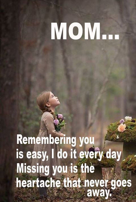 Remembering A Deceased Mother Quotes
 75 Memorial Quotes For Mom in her Remembrance