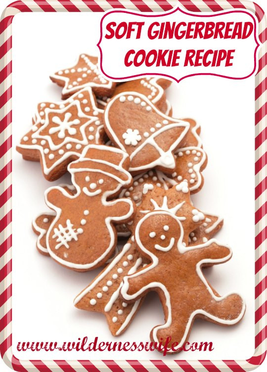 Soft Gingerbread Man Cookies Recipe
 Soft Moist Gingerbread Cookies The Wilderness Wife