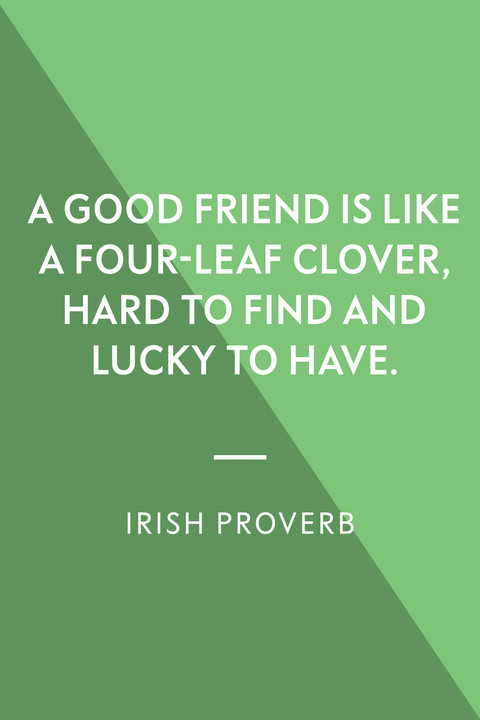 St Patrick's Day Drinking Quotes
 13 St Patrick s Day Quotes and Irish Blessings for Good luck