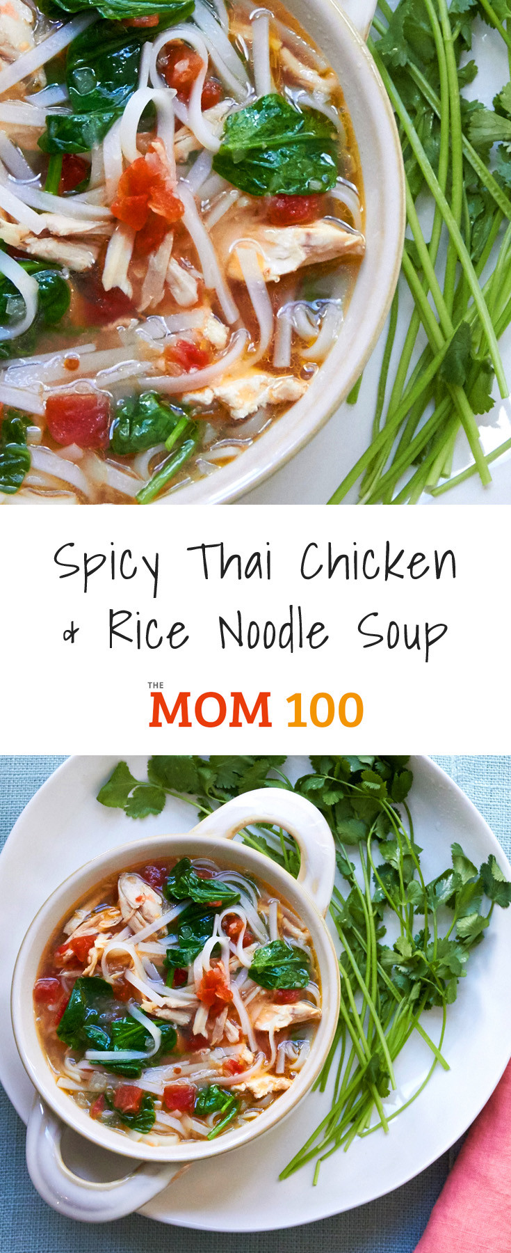 Thai Rice Noodles Soup
 Spicy Thai Chicken and Rice Noodle Soup – The Mom 100 The