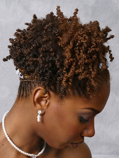 Twists Black Hairstyles
 Twists Hairstyles for Black Women Pics & How to Make It