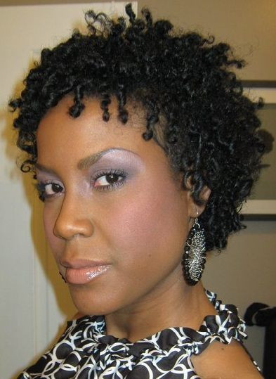 Twists Black Hairstyles
 Natural Hairstyles For Work 15 Fab Looks